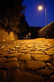 Roma mia 81